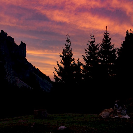 Cielo de ensueño