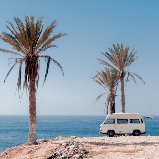 Pitch under palm trees