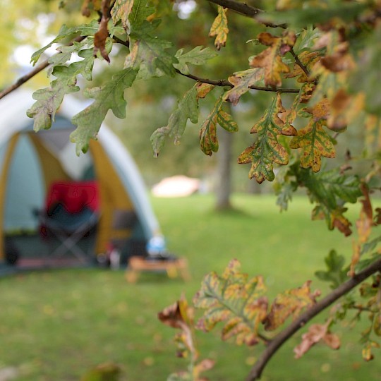 Camping en la naturaleza