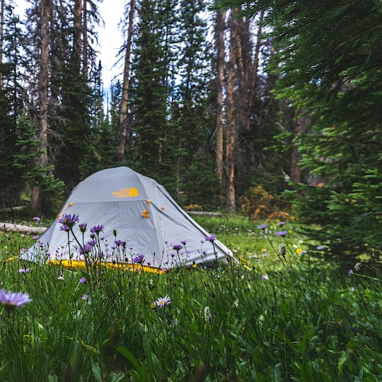 Acampamento na floresta