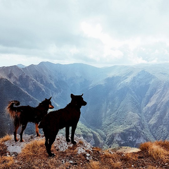 Vista de ensueño