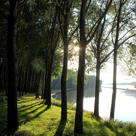 Pitch by the river