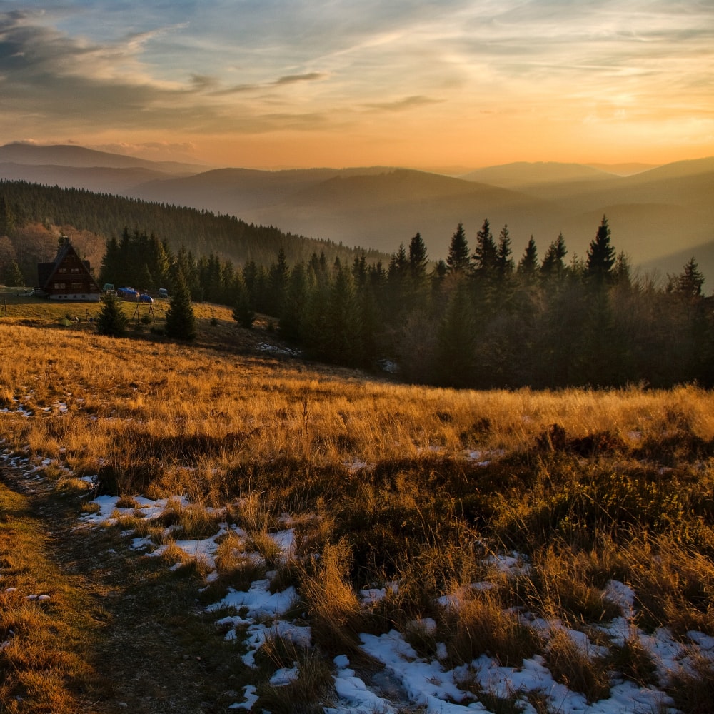 Pitch in the nature