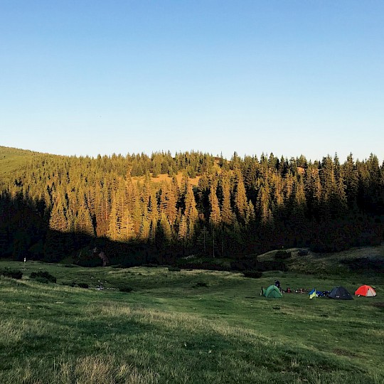 Pitch dans la nature