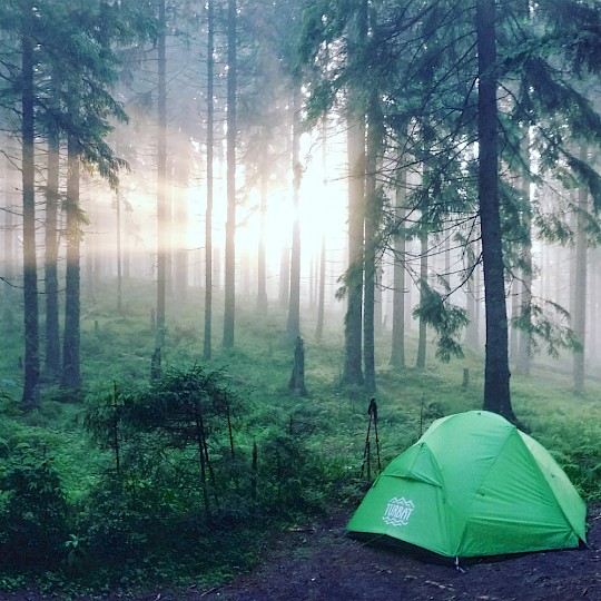 Wild kamperen in het bos