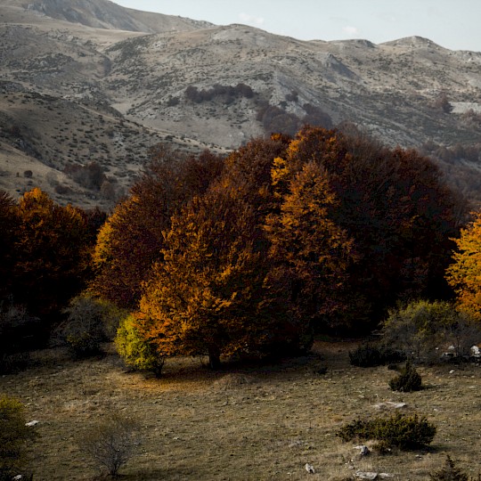 Góry w północnej Macedonii