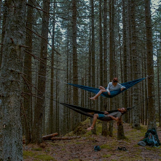 Hammocks in the forest