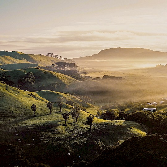 Camping between green hills