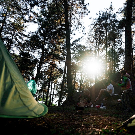 Wildcampen im Wald