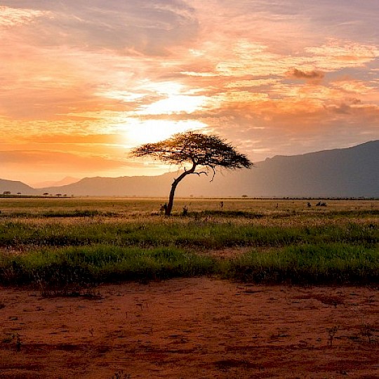 Pôr-do-sol em África