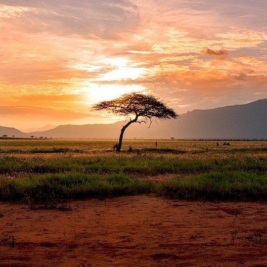 Campeggio selvaggio in Africa